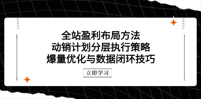 （14698期）全站盈利布局方法：动销计划分层执行策略，爆量优化与数据闭环技巧