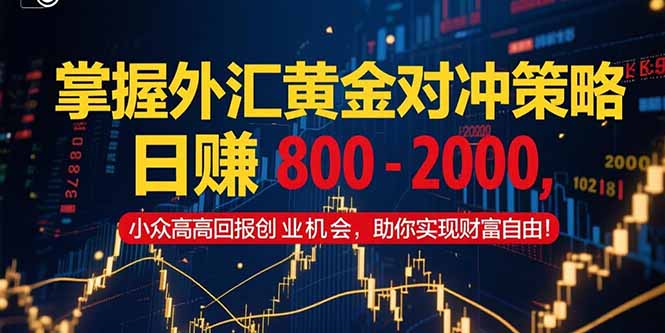 （15198期）掌握外汇黄金对冲策略，日赚 800 – 2000，小众高回报创业机会，助你实…