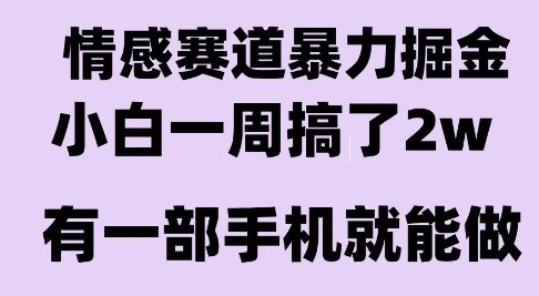 情感暴力掘金项目，新人操作一周挣了2W，长期稳定小白可做