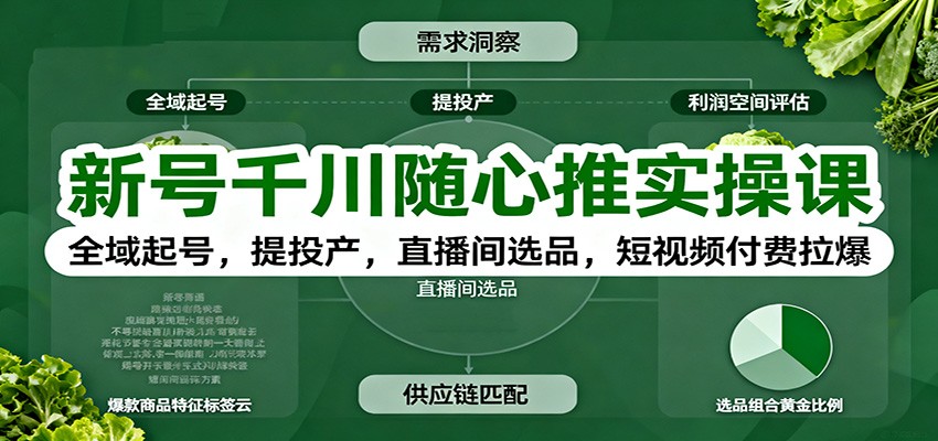新号千川随心推实操课：全域起号，提投产，直播间选品，短视频付费拉爆