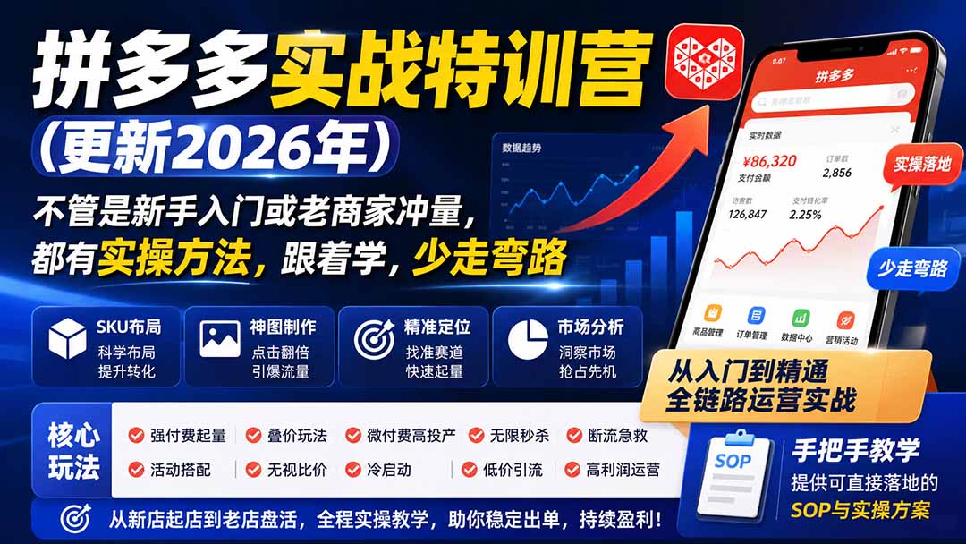 （19744期）拼多多实战特训营(更新2026年)：不管是新手入门或老商家冲量，都有实操方法，跟着学，少走弯路