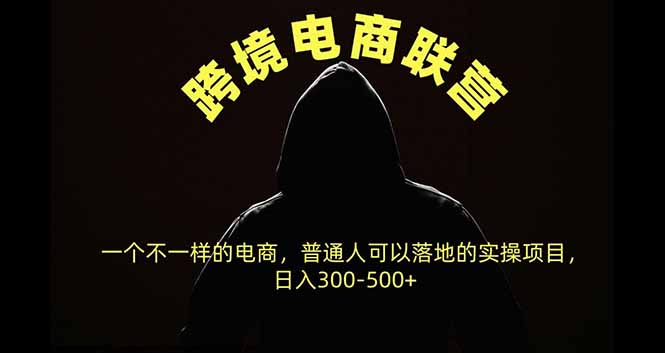 (20702期)跨境电商联营,一个不一样的电商,普通人可操作日入300-500+