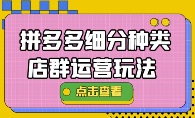 （4373期）拼多多细分种类店群运营玩法3.0，11月最新玩法，小白也可以操作