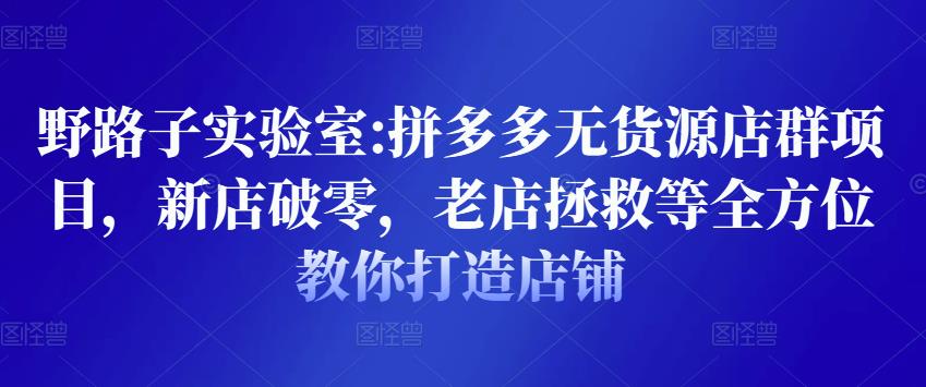 野路子实验室:拼多多无货源店群项目，新店破零，老店拯救等全方位教你打造店铺