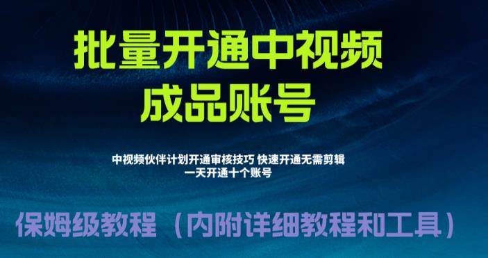 [新自媒体]外面收费1980暴力开通中视频计划教程，附 快速通过中视频伙伴计划的办法