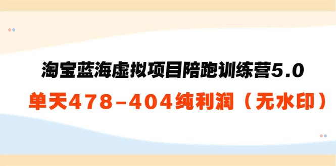 淘宝蓝海虚拟项目陪跑训练营5.0：单天478纯利润