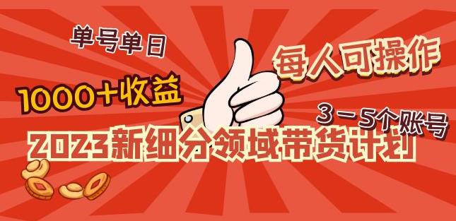 2023新细分领域带货计划：单号单日1000+收益不难，每人可操作3-5个账号