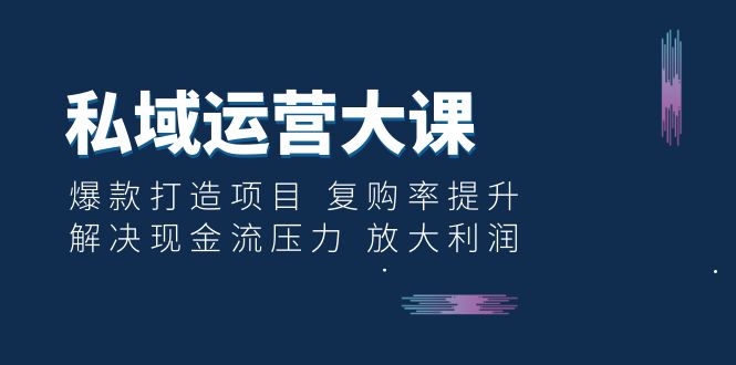 （6455期）私域运营大课：爆款打造项目 复购率提升 解决现金流压力 放大利润