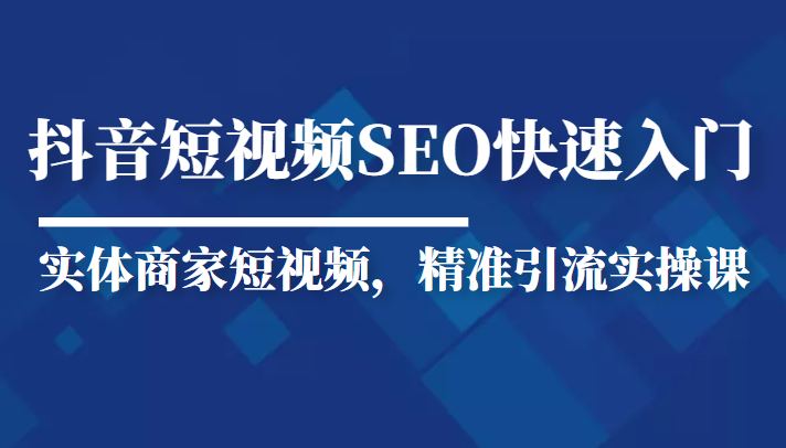 抖音短视频Seo搜索排名优化新手快速入门教程，实体商家短视频，精准引流实操课